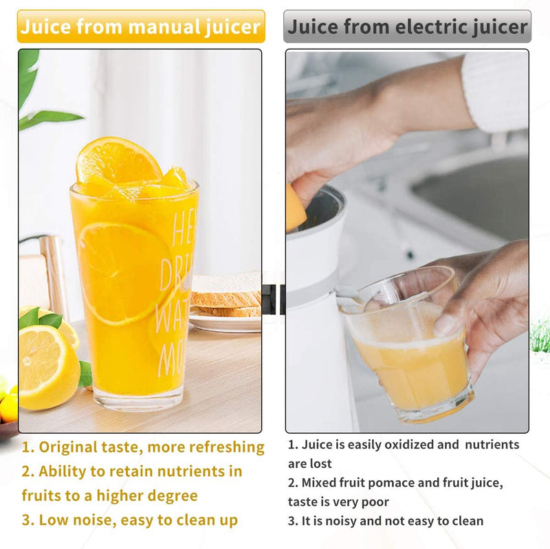 Manual Juice Extractor